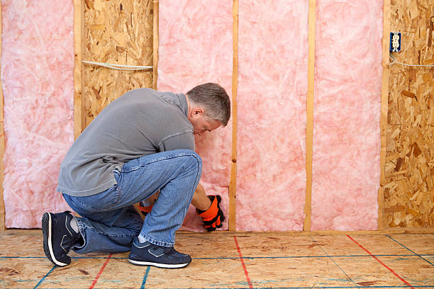 Best Cellulose Insulation in Delmont, PA